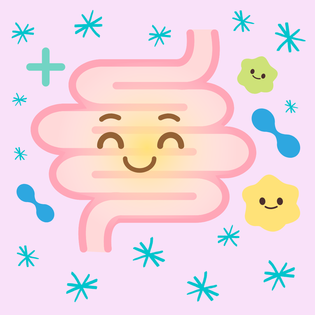Mejora tu Salud Digestiva
